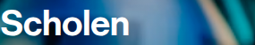 Screenshot van het betrokken element
