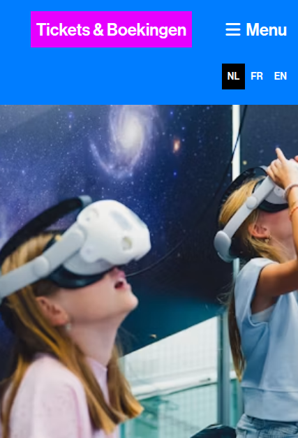 Screenshot van het betrokken element