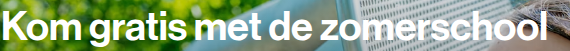 Screenshot van het betrokken element