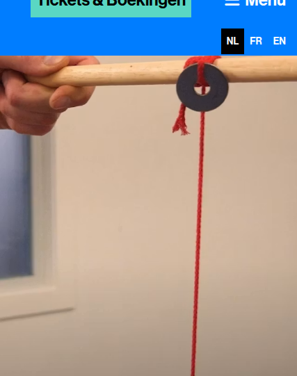 Screenshot van het betrokken element