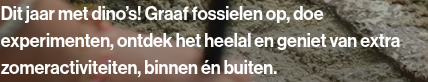 Screenshot van het betrokken element