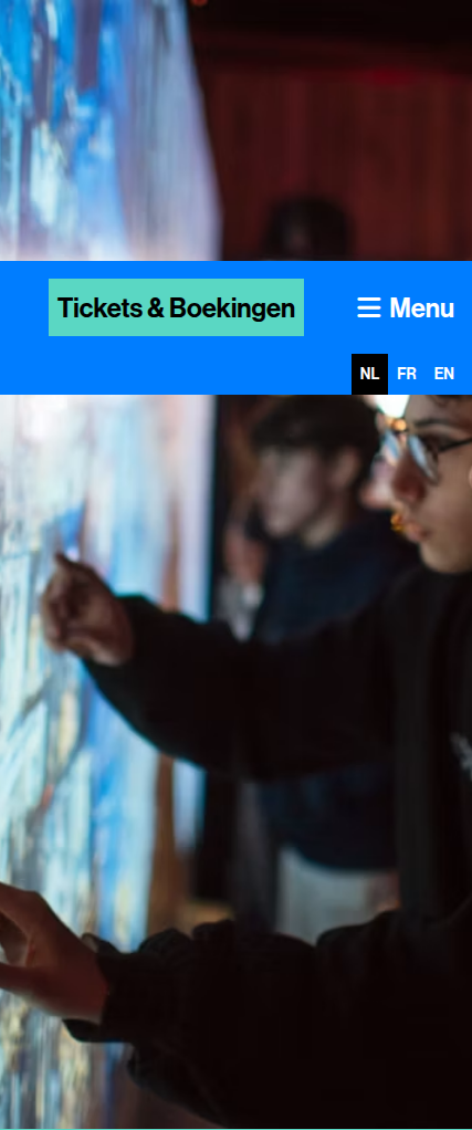 Screenshot van het betrokken element