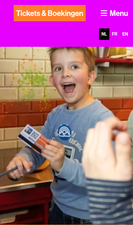Screenshot van het betrokken element